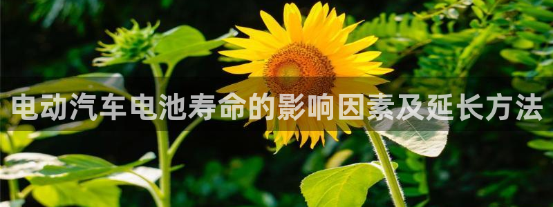 优发国际平台网站