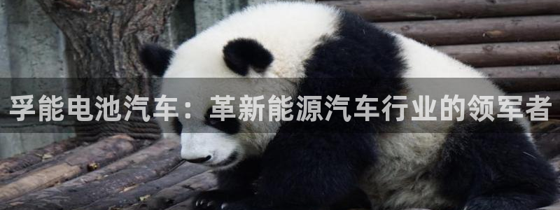 优发国际客服联系方式查询