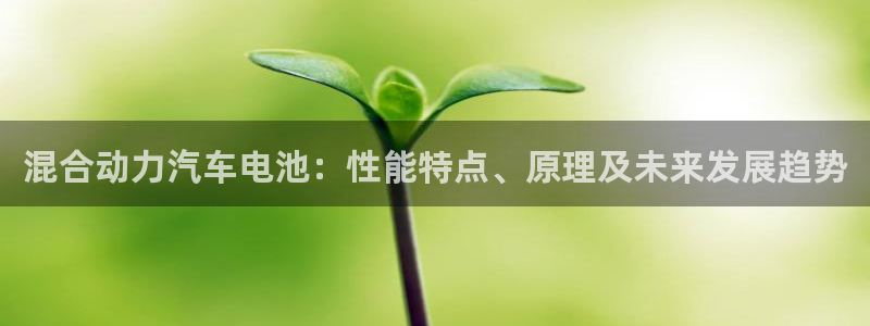 优发国际手机客户端下载安装手机版