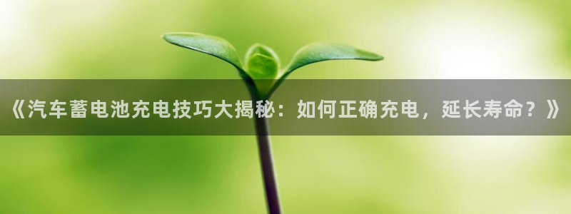优发国际官方网手机版入口