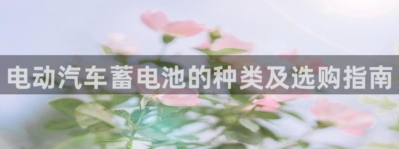 优发国际手机版唯一官网是什么