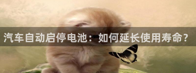 优发国际官方网手机版下载