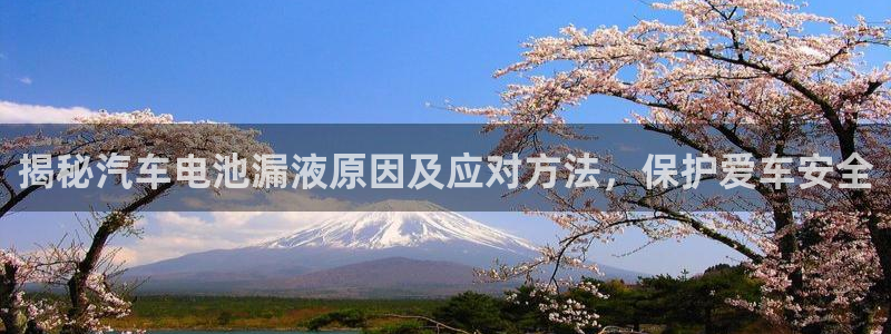 优发国际这个平台怎么样