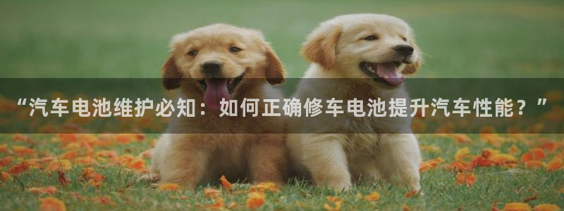 优发国际登陆