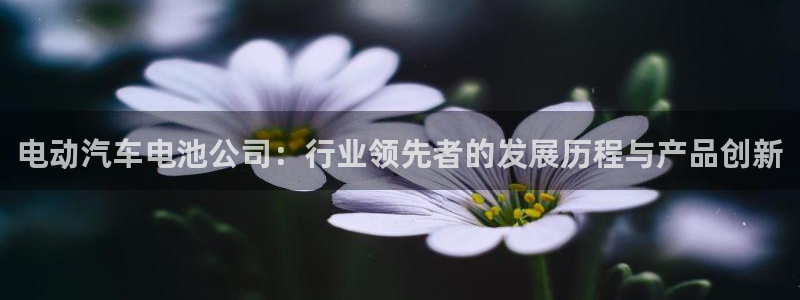 优发国际官网网站入口