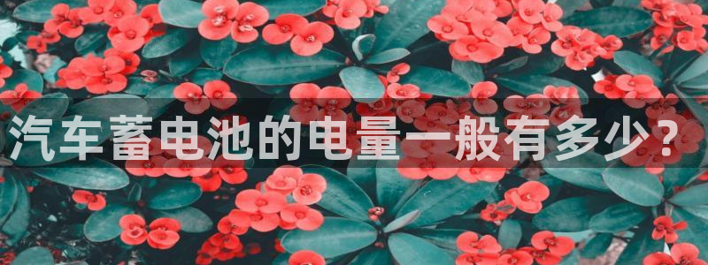优发国际的网站是