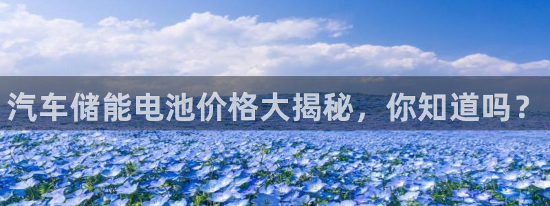 优发国际网站多少