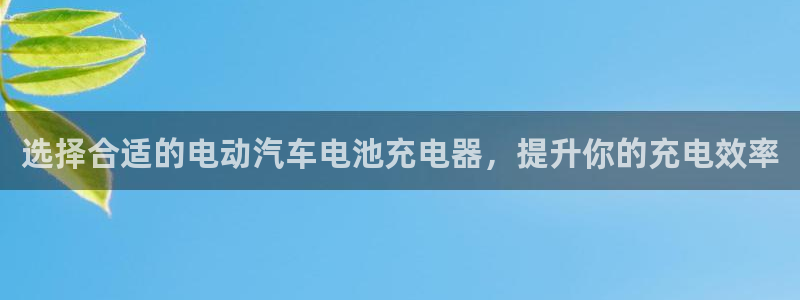 优发国际手机版唯一官网是什么：选择合适的电动汽车电池充电器，提升你的充电效率