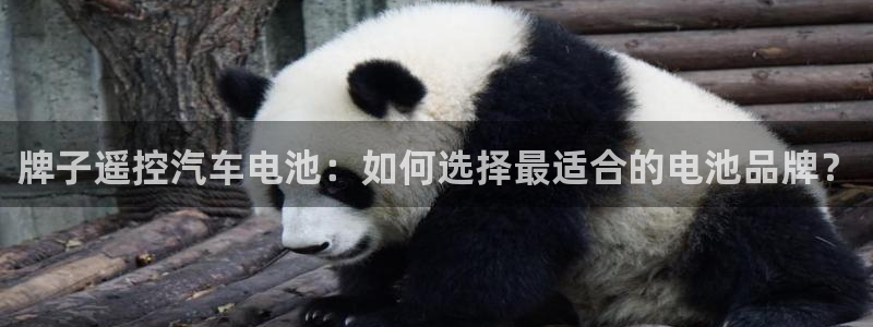 优发国际官网下载安装