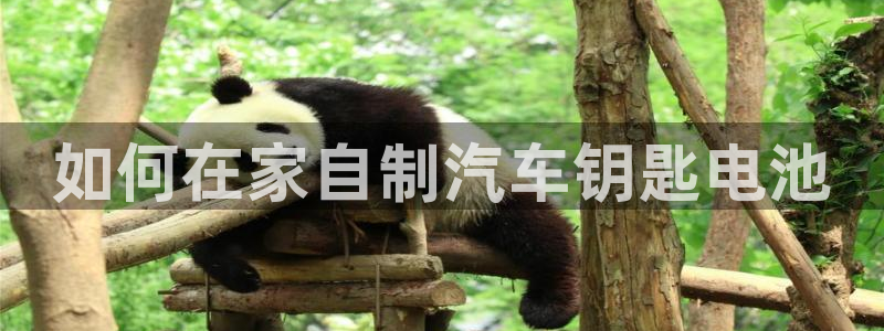 优发国际随优而动一触即发