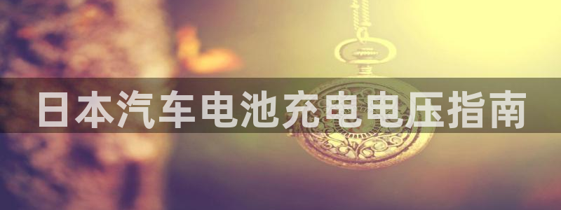 优发国际官网下载安装app：日本汽车电池充电电压指南