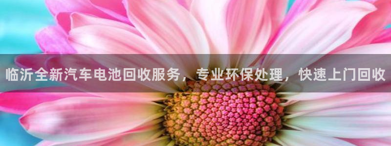 优发国际手机版客户端官网
