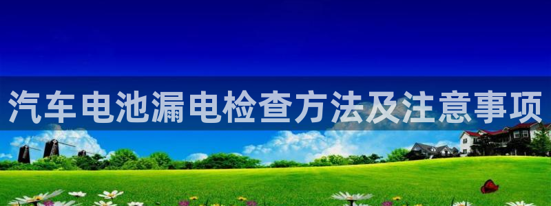 优发国际客服联系方式查询：汽车电池漏电检查方法及注意事项