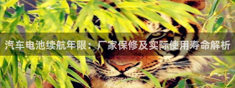 优发国际不出款