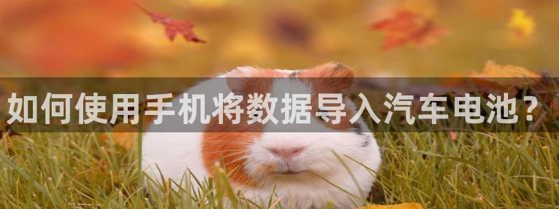 优发娱乐官网app下载