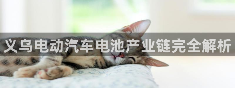 优发国际手机app下载安装
