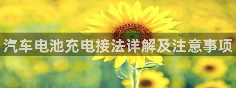 优发国际平台18岁能做吗