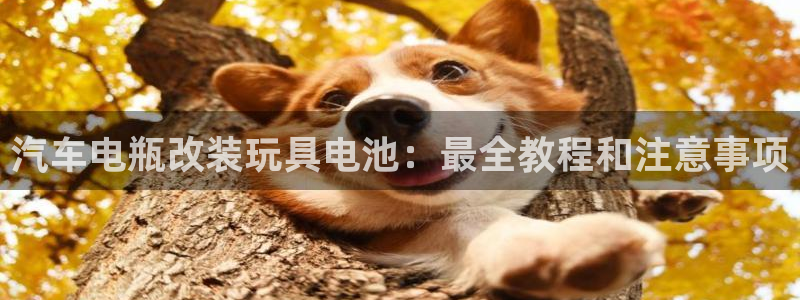优发国际官网,首页