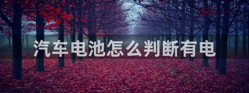 优发国际首页首页y6