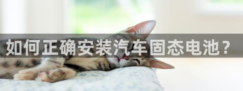 优发国际网官
