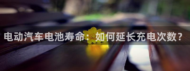 优发国际提现不了