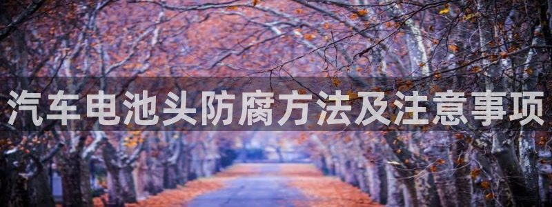 优发国际集团股份有限公司招聘