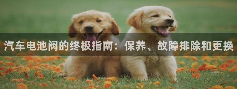 优发国际官网网站