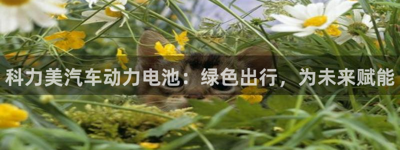 优发国际手机客户端下载安卓