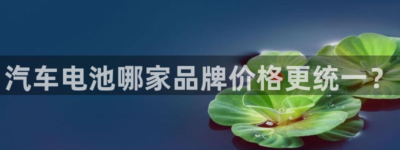 优发国际VIP网址