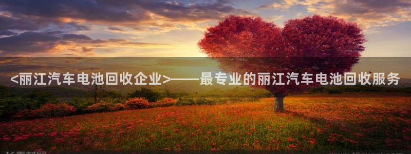 优发国际集团股份有限公司官网