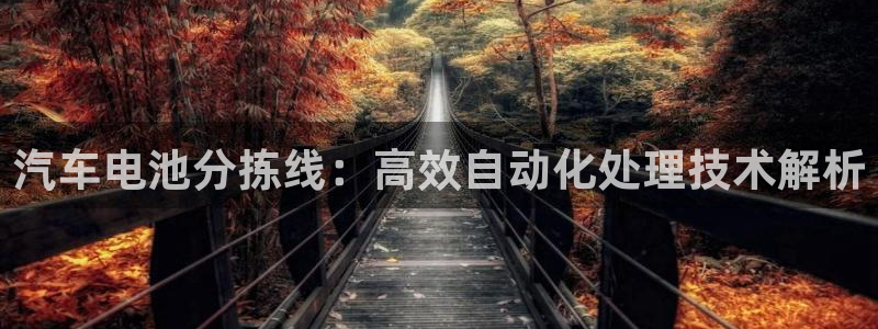 优发国际平台