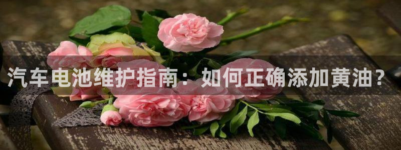 优发国际youfa