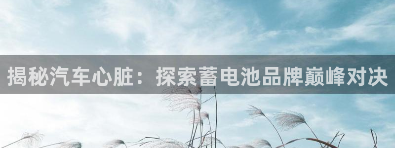 优发国际平台u8是什么软件