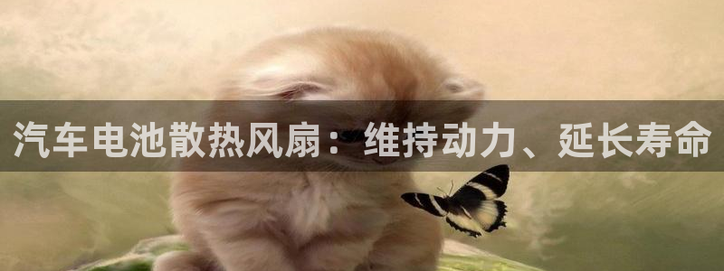 优发国际随优而动一触即发