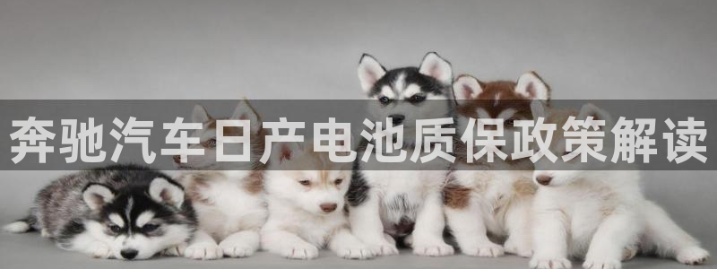 优发国际平台g8怎么样