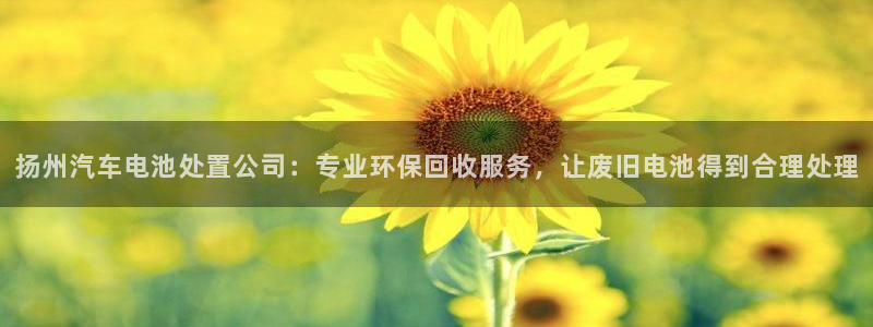 优发国际集团股份有限公司