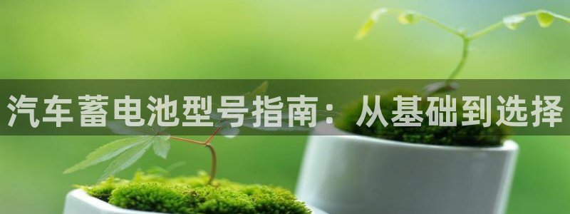 优发国际网站多少