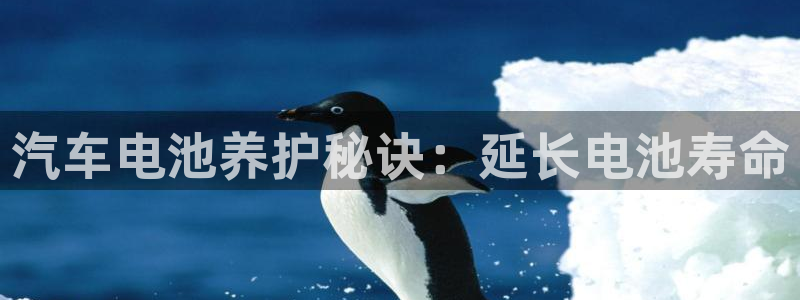 优发国际手机客户端怎么下载