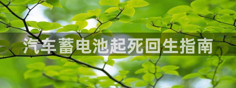 优发国际登录r8