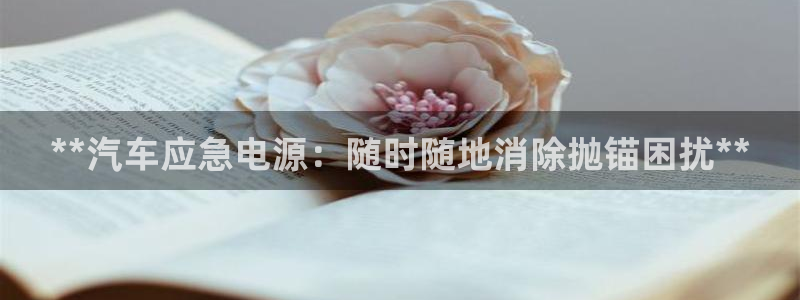 优发国际平台u8是什么软件