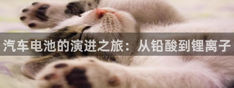 优发国际手机版网站