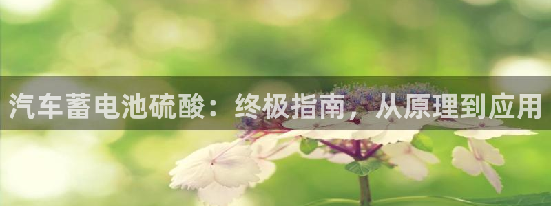 优发国际官网qy88