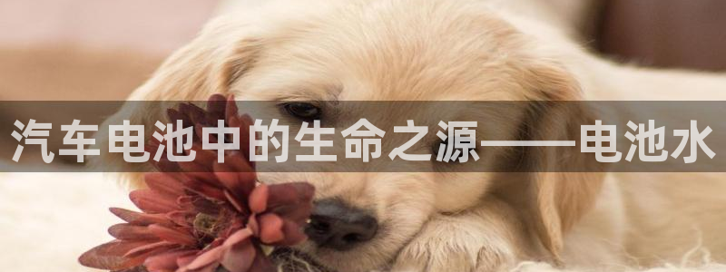 优发国际登录首页