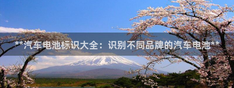 优发国际游戏官方网站入口