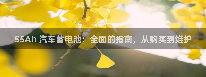 优发国际下载安装app