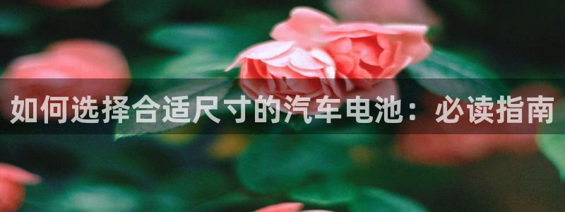 优发国际官网,首页