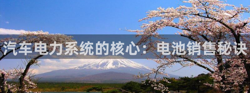 优发国际官网下载app