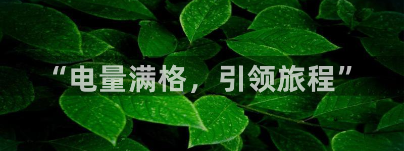 优发国际的官网是什么软件