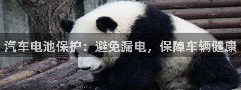 优发国际不出款怎么办