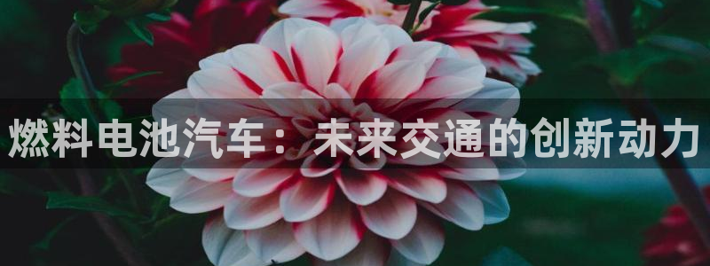 优发国际官网值是多少